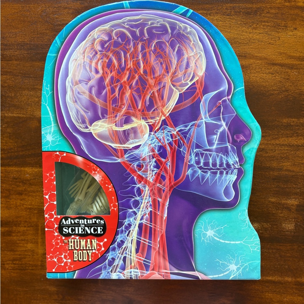 Adventures in Science: The Human Body Anatomy Learning Kit Model Skeleton